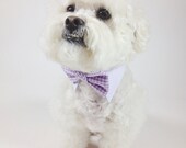 Dog bow tie and shirt collar-  matte satin bow tie and gingham shirt collar- wedding dog clothing- formal wear for dogs