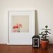 Chinese Lanterns - paper lantern photo, colourful home decor, summer wall art 8x8 colour print