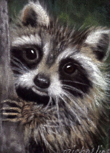 Friends raccoon wildlife art print by Michaeline 5x7 inches