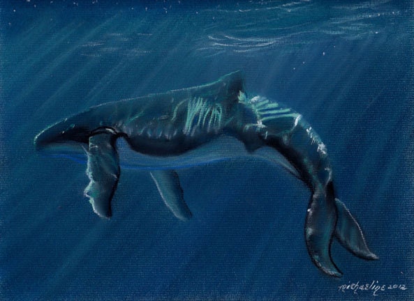 Humpack Whale painting art print by Michaeline 8x10 inches