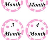 Pink Polka dot first 1st birthday photo clips photo banner clips