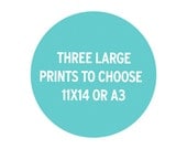 Three Large Prints 11x14 or A3 To choose