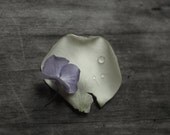 Still Life Photography of  Purple Hydrangea Petals 8x10
