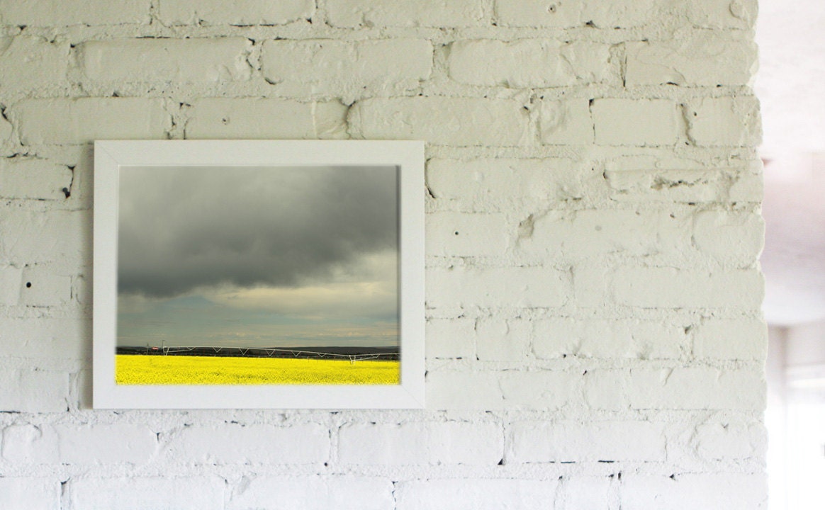 Modern Neon Landscape Photograph Canola Field  11x14   Archival Photograph