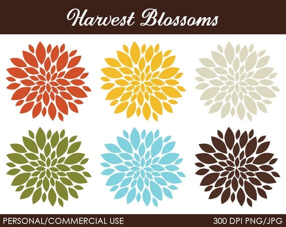 Harvest Blossoms Clipart - Digital Clip Art Graphics for Personal or Commercial Use Il_570xn