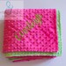 Minky Baby Blanket Personalized 30 x 28 Sage Green & Fuchsia Pink