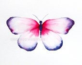 red and violet butterfly archival print of original 5" x 7" watercolor painting