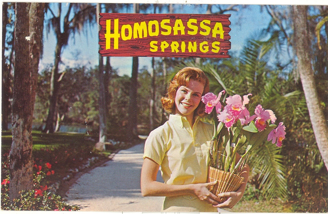 Vintage Florida Postcard - Homosassa Springs - Cheesecake Poses with Orchids