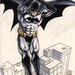 Color Batman by Steve Lieber, Ron Randall, Grace Allison