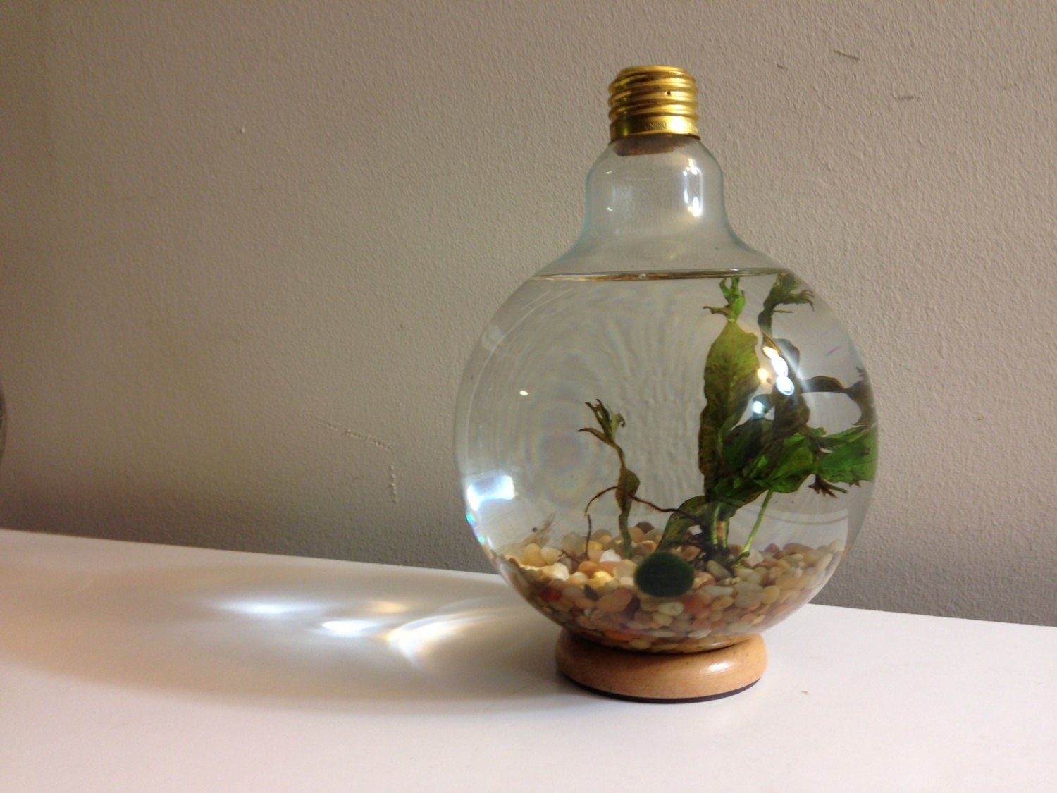 Large Lightbulb Fishbowl Kit