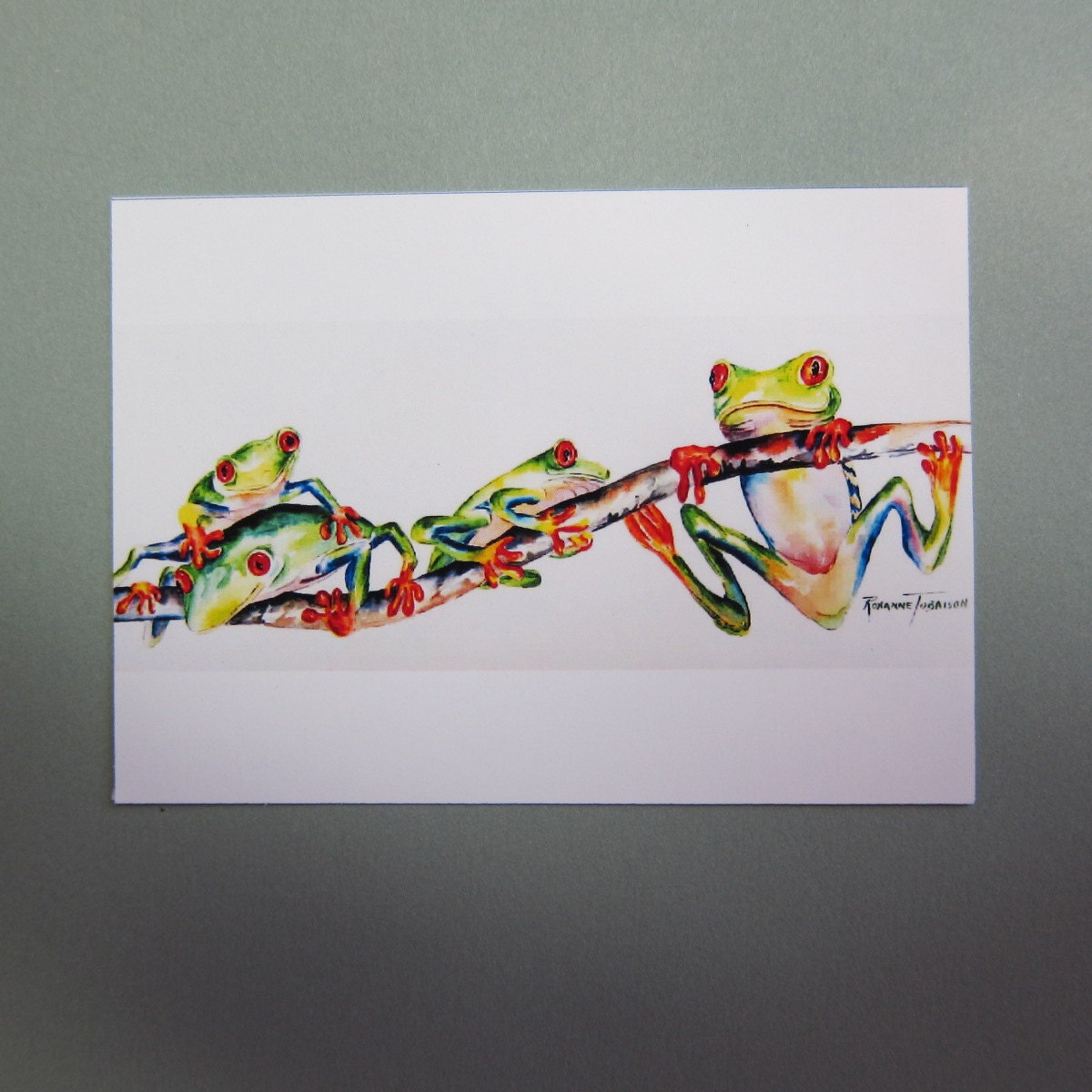Red Eyed Tree Frogs ACEO variety - You pick watercolor print green yellow frogs