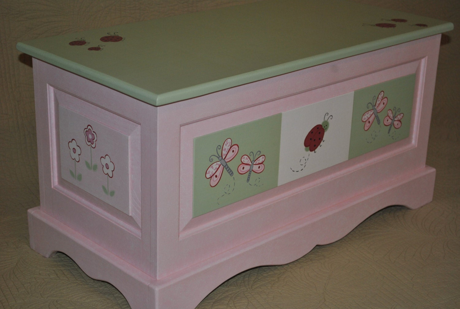 Kids Lady Bug Dragonfly and Floral Pink and Green Childrens Toy Chest