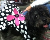 Crazy Dot  Ruffle Dog Jacket