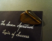 Tiger Eye Fridge Magnet Chatoyant Quartz Healing Stone (24k Gold Plated Earth Magnet)