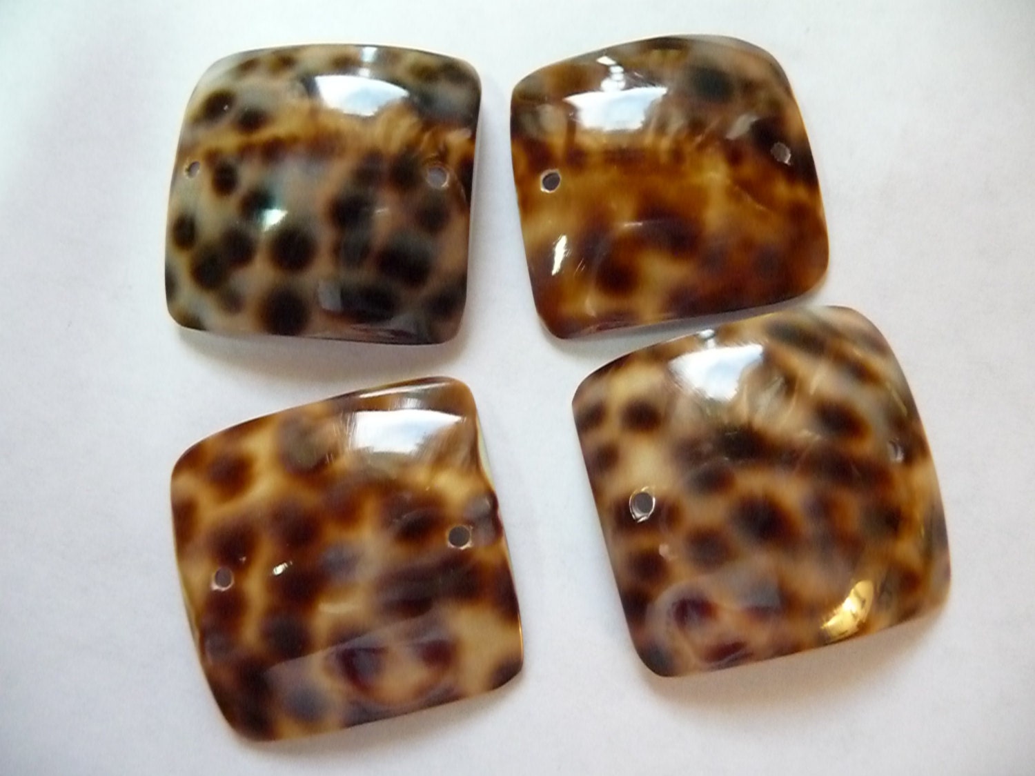 Link, Tiger Cowrie, Shell, natural, 25x25mm, square, pkg of 4