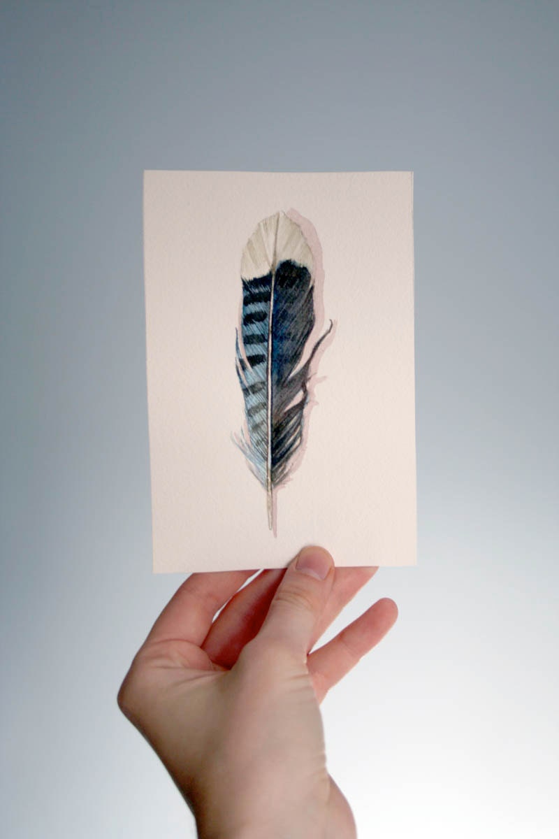 Blue Jay Feather Painting - Original Watercolor Nightly Study 646