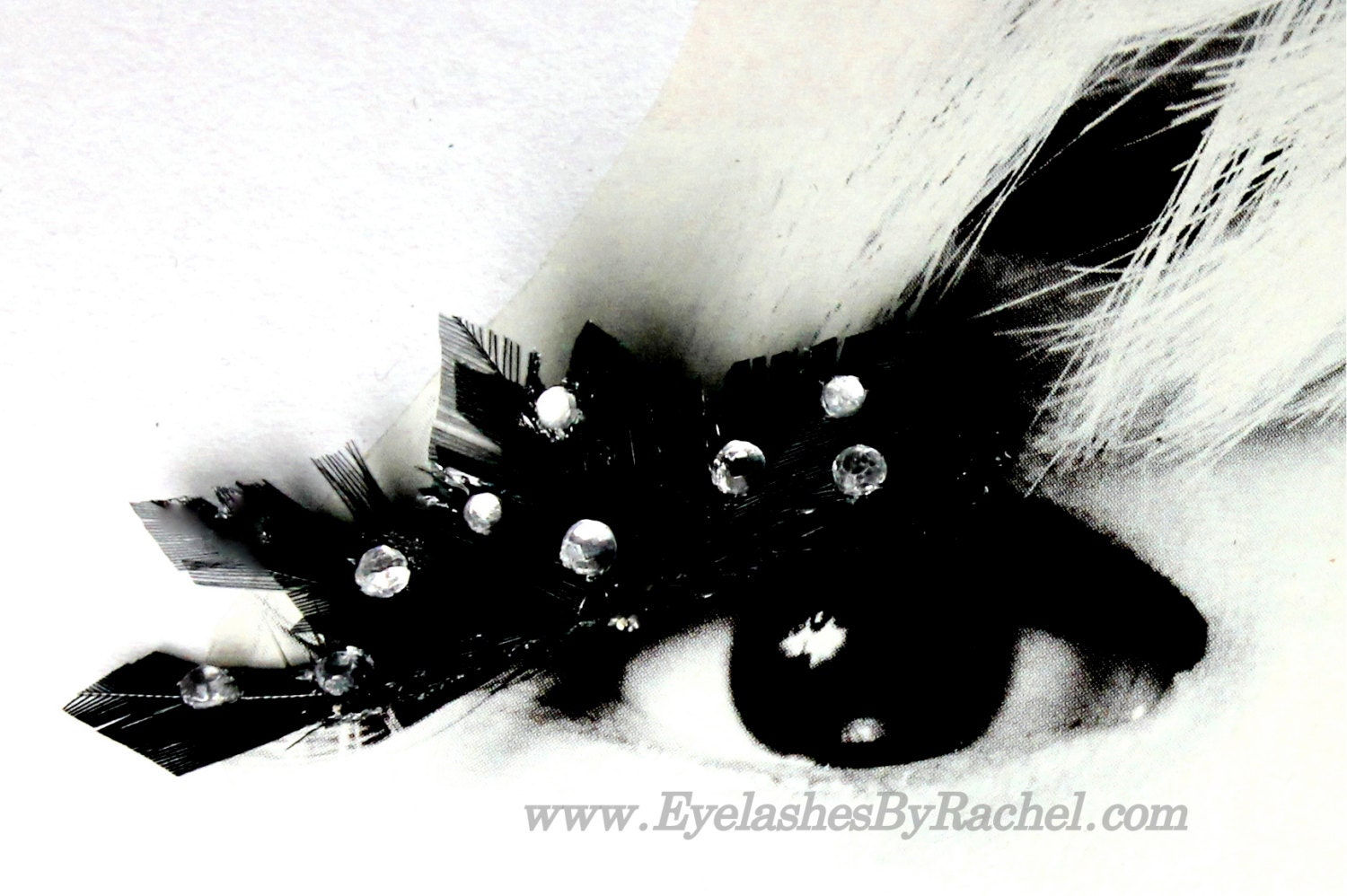 Black Color spLashes Feather False Eyelashes