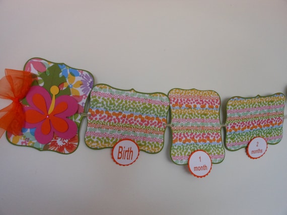 Luau 1st Birthday Petite Party Package Il_570xn