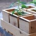 Handmade Garden wooden planter with cedar tray great for weddings