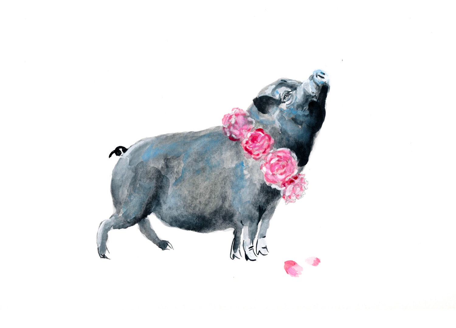 Peony Pig 1, Print of Original Painting