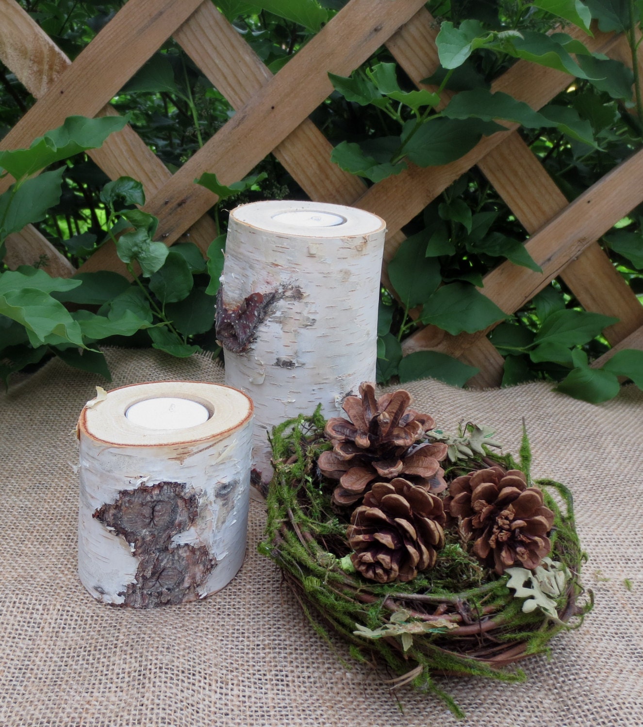 Birch Bark Candles with Decorated Birds Nest  Pinecones  Wedding Centerpieces Cottage Chic Rustic Wedding
