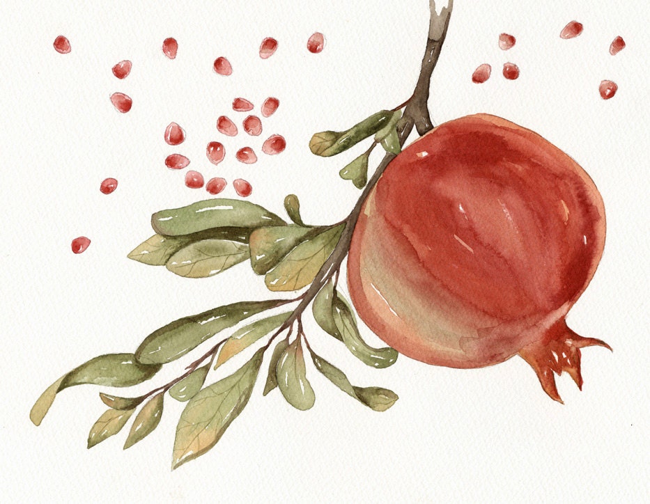 Watercolor Print Pomegranate Open edition - Vegetables and Fruits Art - Original Painting by Lorisworld