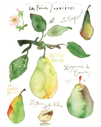 Kitchen art print, Pear varieties, Watercolor fruit poster, food illustration, 8X10, Botanical, Green, Chartreuse