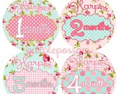 Baby Month Stickers Baby Shabby Chic add name Monthly Onesie Stickers Monthly Onesie Sticker Girl Baby Shower Gift Photo Prop Baby Milestone