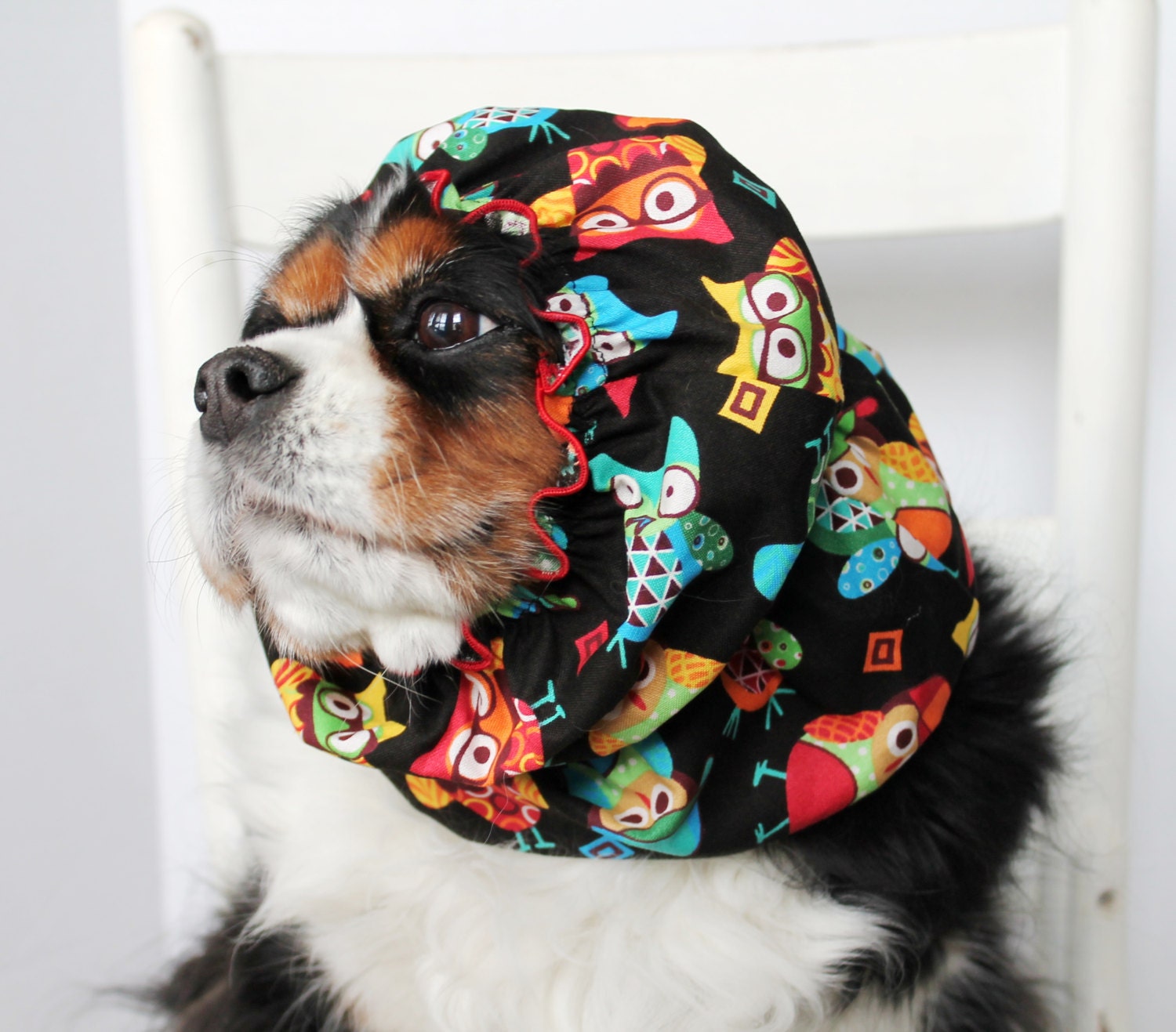 Goofy Owls Dog Snood / Russian Dolls