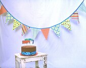 Bunting Whimsical Orange, Turquoise & Lime Fabric Flags X-Large- LAST ONE