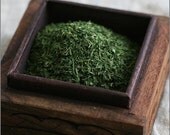 organic dill weed ( chicken, fish, eggs, soups, culinary, cheese, herb )