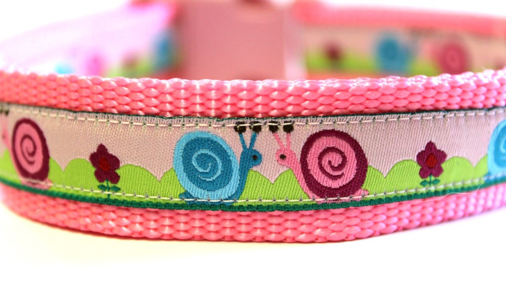 Snails collar