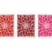 Dahlia Flower No.2 Digital Print Set - Art Print Wall - Original - Modern Home Decor - Red Pink Berry - Ombre - Spring