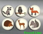 WOODLAND ANIMALS MAGNETS with gift pouch - Set of 6