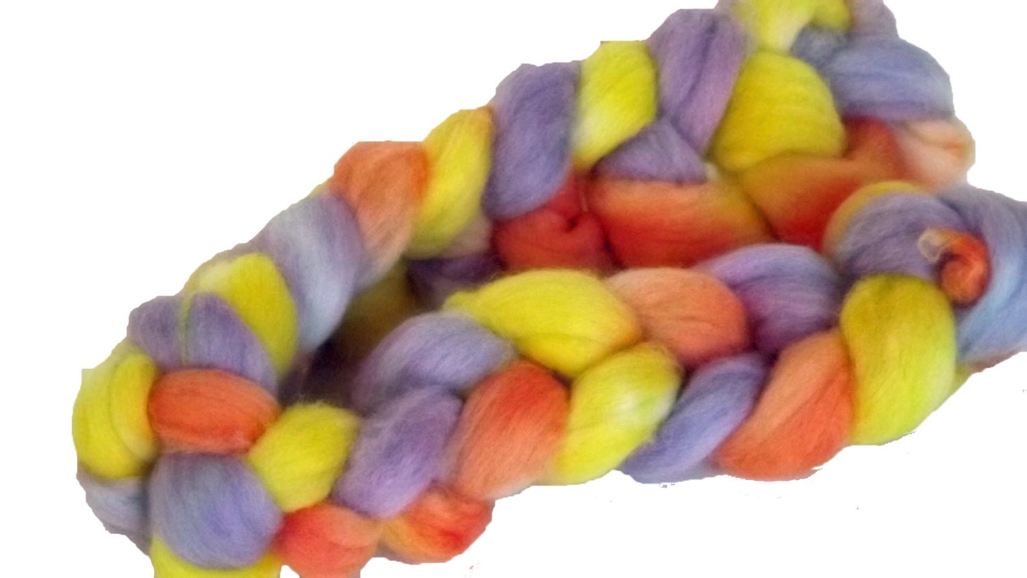 Gerbara Daisy - Spinning Fiber