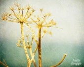BOGO SALE - Nature Photography, Seaside Flora, Flower Photography, Summer Photography, Golden, Blue, Wall Decor, Cottage Decor - Beach Flora