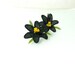 Black earrings , silk needle lace  earrings,  black clours , handmade ,  produce in a  washable indefectible