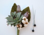 Succulent Boutonniere with Tallow and Pods