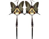 Spring Sale - 10 % OFF - Real Butterfly Steampunk Triangle - Long Dangle Earrings - With Real Butterflies Wings and Porcupine Quills - Fant