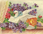 White Dove Nestled in Floral Bouquet of Violets and Roses Antique Birthday Postcard 1908