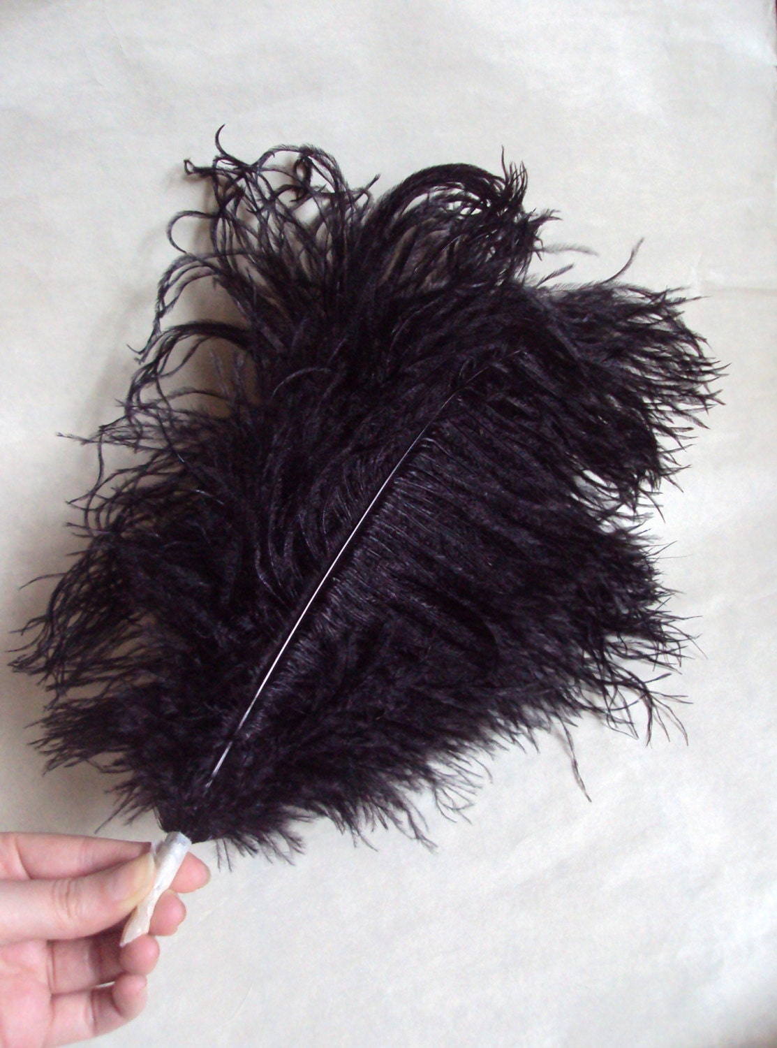 1940s 50s Black Ostrich feather plume mount bunch