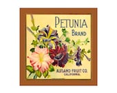 Small Blank Journal - Petunia Brand Fruit - Fruit Crate Art Print Cover
