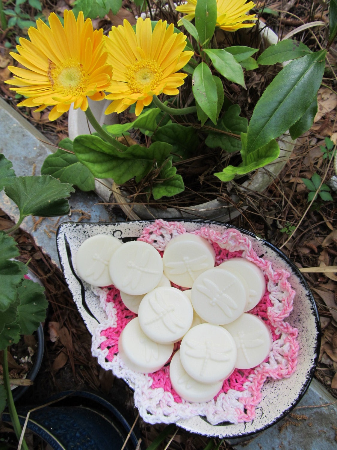 Fruit & Vegetable scented guest soaps (set of six)