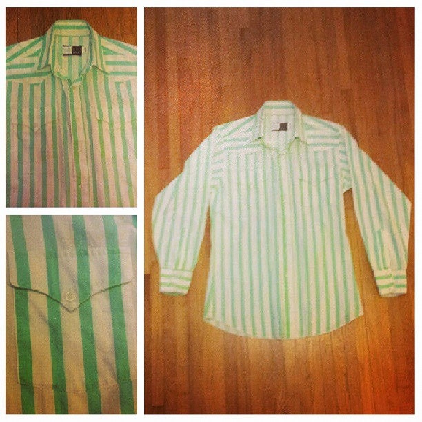 Vintage Mint Stripe Western Shirt