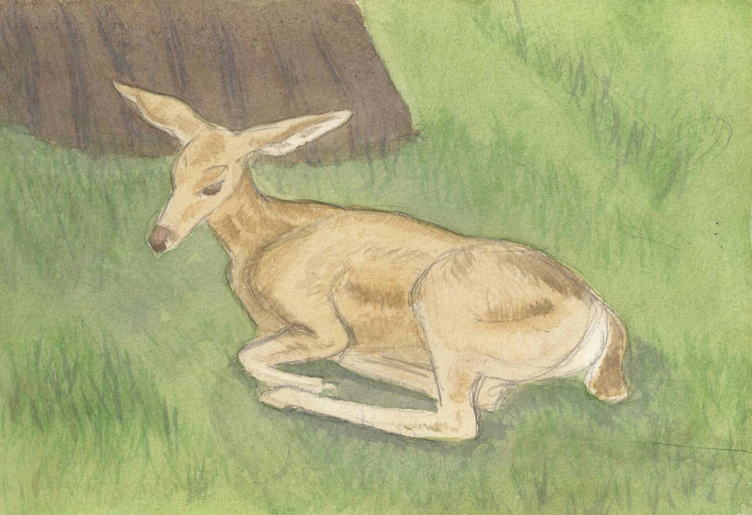 Reclining Deer watercolor print