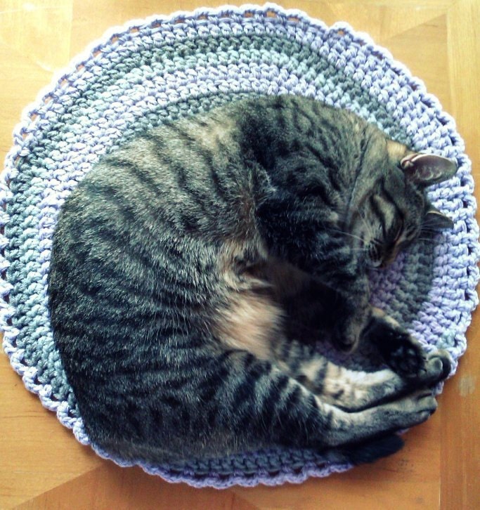 Swirly Cat Blanket Crochet e-Pattern