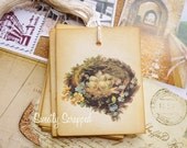 Vintage Nest Gift Tags, Spring, Birds of a Feather