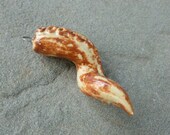 Latte-Glazed Porcelain Kraken, Squid, Octopus Tentacle Pendant