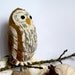 Barred Owl Soft Sculpture