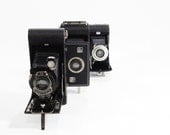 Vintage Folding Bellows Camera home decor